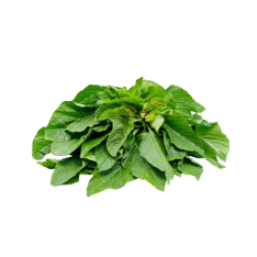 A1Basket-amarnath-leaves