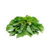 A1Basket-amarnath-leaves