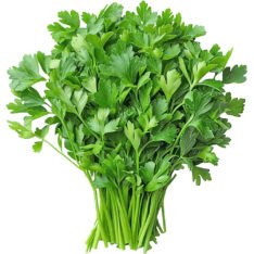 Coriander Leaves - 20bunch