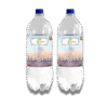 Gangajal 100ml 1x2 Bottle