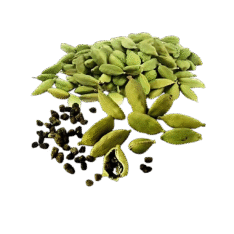 Cardamom (Ilayachi)