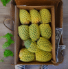 Alphonso Mango 12 Pieces Box
