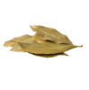 Tej Patta