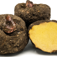 Elephant Yam (Suran) - 10Kg